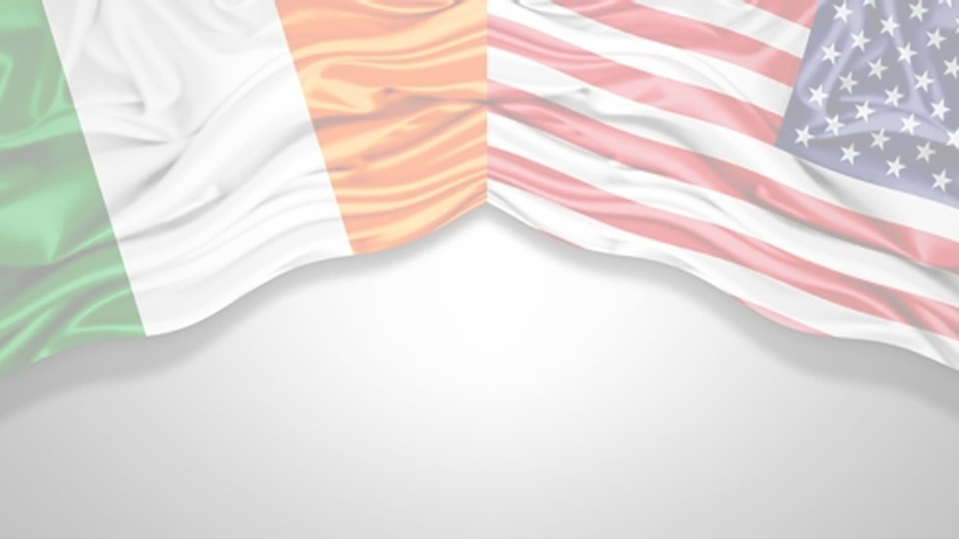 Flags Banner Image