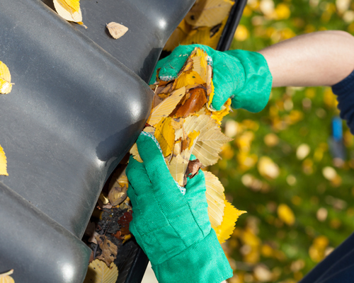 Gutter Cleaning Service Image
